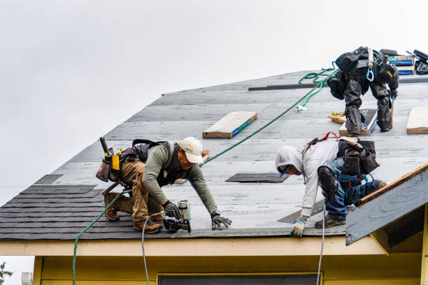 Professional Roofing technician working in Carson City, MI
